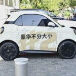 smart #2 в камуфляже