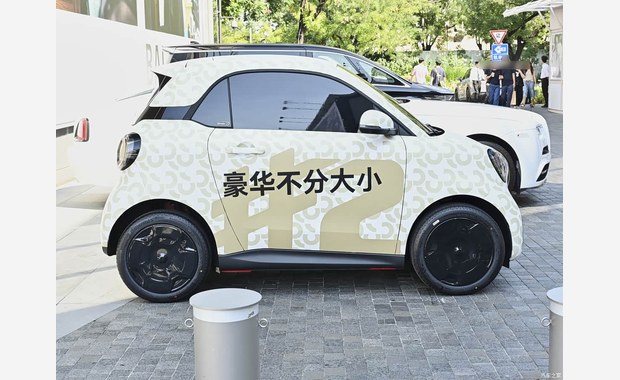 smart #2 в камуфляже
