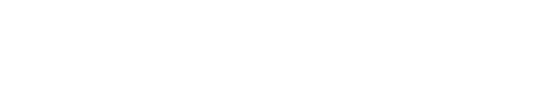 Логотип EXEED